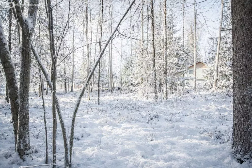 Участок в Одинцовский городской округ, деревня Сивково (9 м) - Фото 1