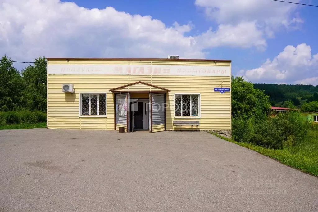 Торговая площадь в Кемеровская область, Новокузнецк Центральная ул., 4 ... - Фото 1