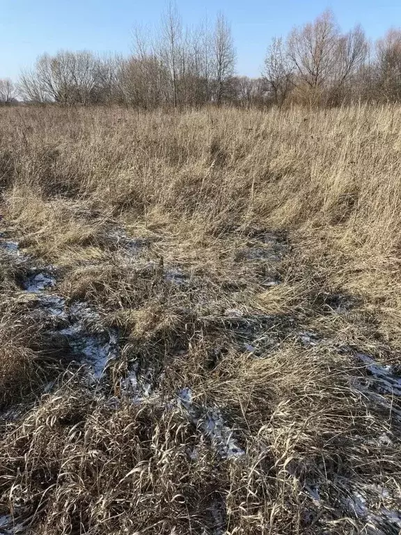 Участок в Московская область, Луховицы муниципальный округ, д. ... - Фото 0