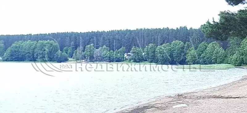 Участок в Выборгский район, Приморское городское поселение, посёлок ... - Фото 1