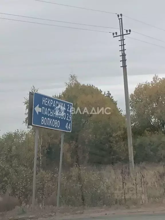 Дом в Владимирская область, Собинский муниципальный округ, д. Волково ... - Фото 1