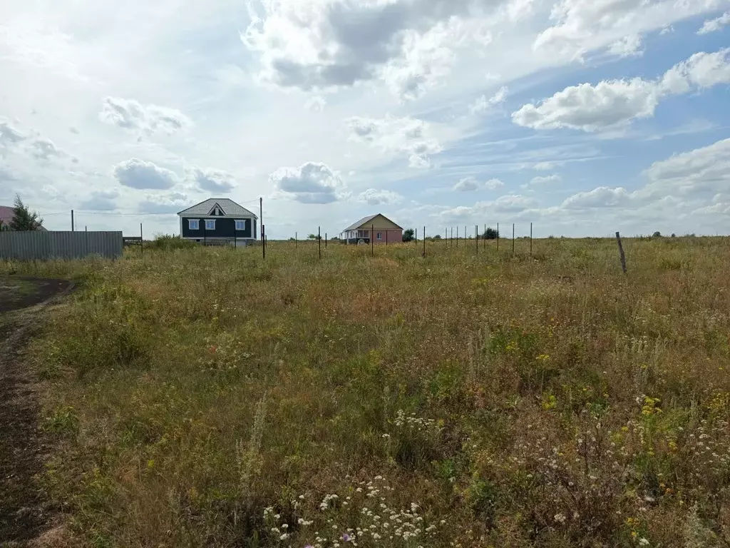 Участок в Саратовская область, Татищево рп ул. Петровская (10.0 сот.) - Фото 1