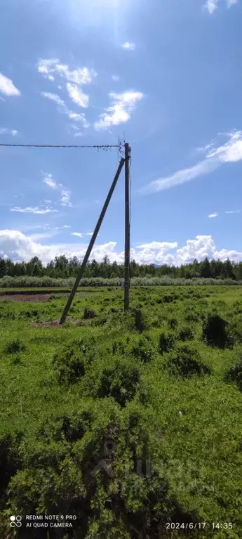 Участок в Алтай, Усть-Коксинский район, с. Горбуново  (20.0 сот.) - Фото 1