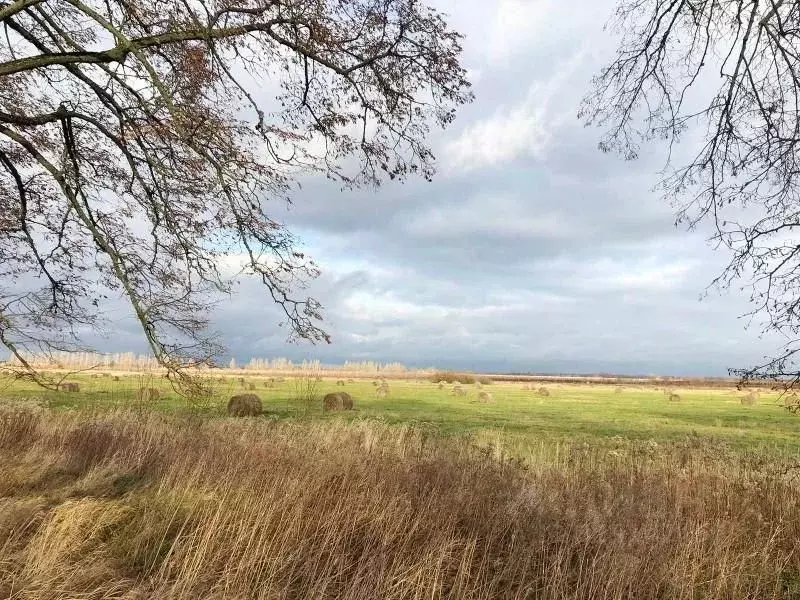 Участок в Калининградская область, Полесский муниципальный округ, пос. ... - Фото 2