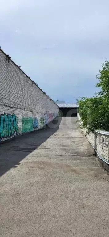 Гараж в Белгородская область, Белгород ул. Жуковского, 2Г (24 м) - Фото 1