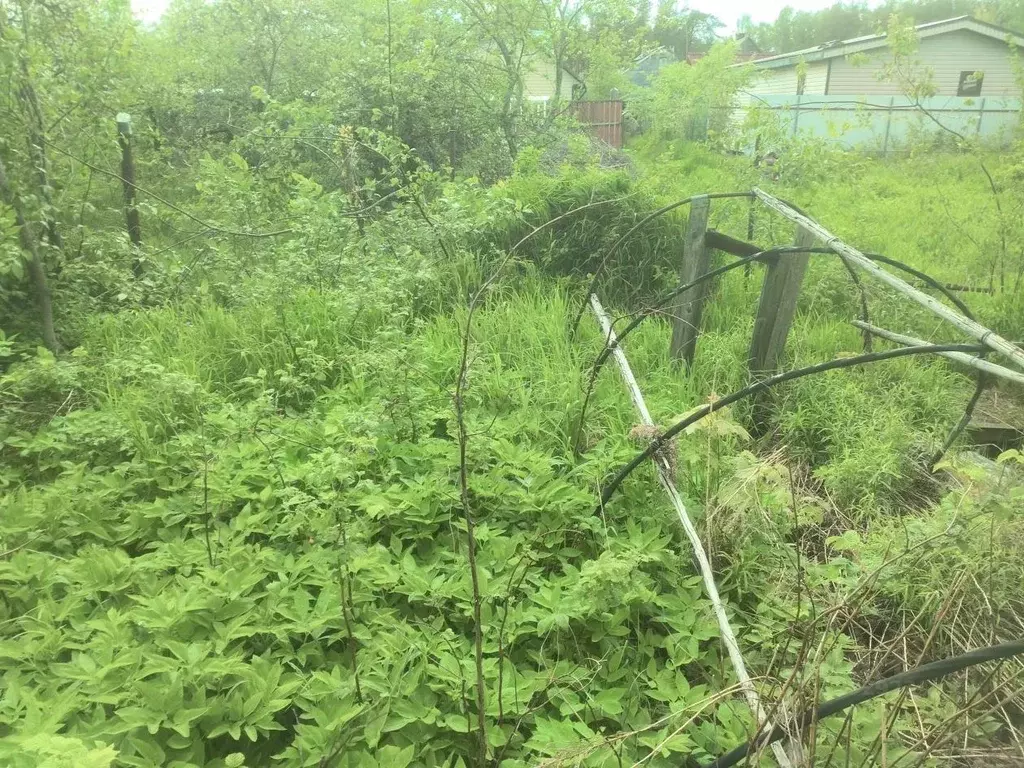 Участок в Ленинградская область, Выборгский район, Красносельское ... - Фото 1