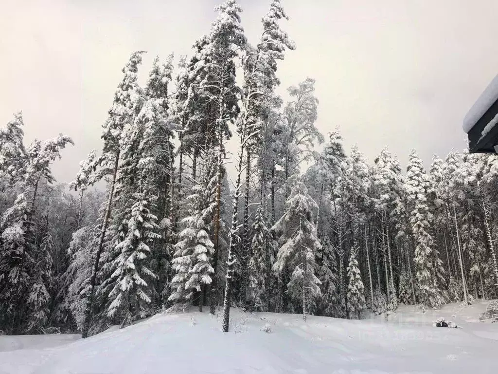 Дом в Ленинградская область, Выборгский район, Приморское городское ... - Фото 1