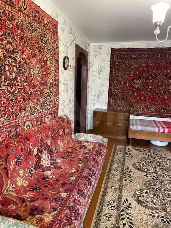 1-к. квартира, 305 м, 4/5 эт. - Фото 1