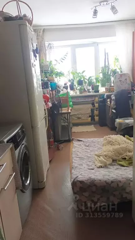 Студия Кемеровская область, Новокузнецк ул. Климасенко, 1/2 (17.2 м) - Фото 0