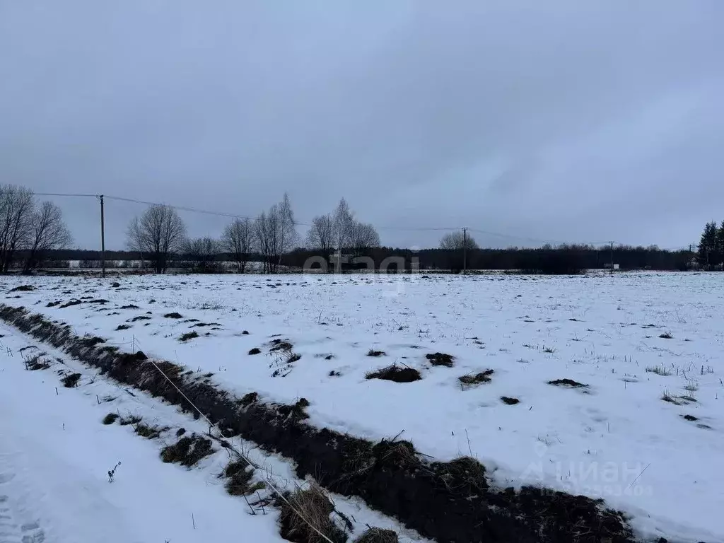 Участок в Ярославская область, Ярославский район, Кузнечихинское ... - Фото 0