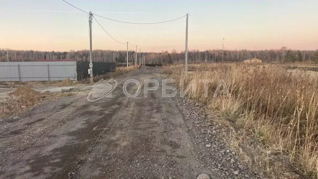 Участок в Тюменская область, Нижнетавдинский район, У Сосны ... - Фото 1