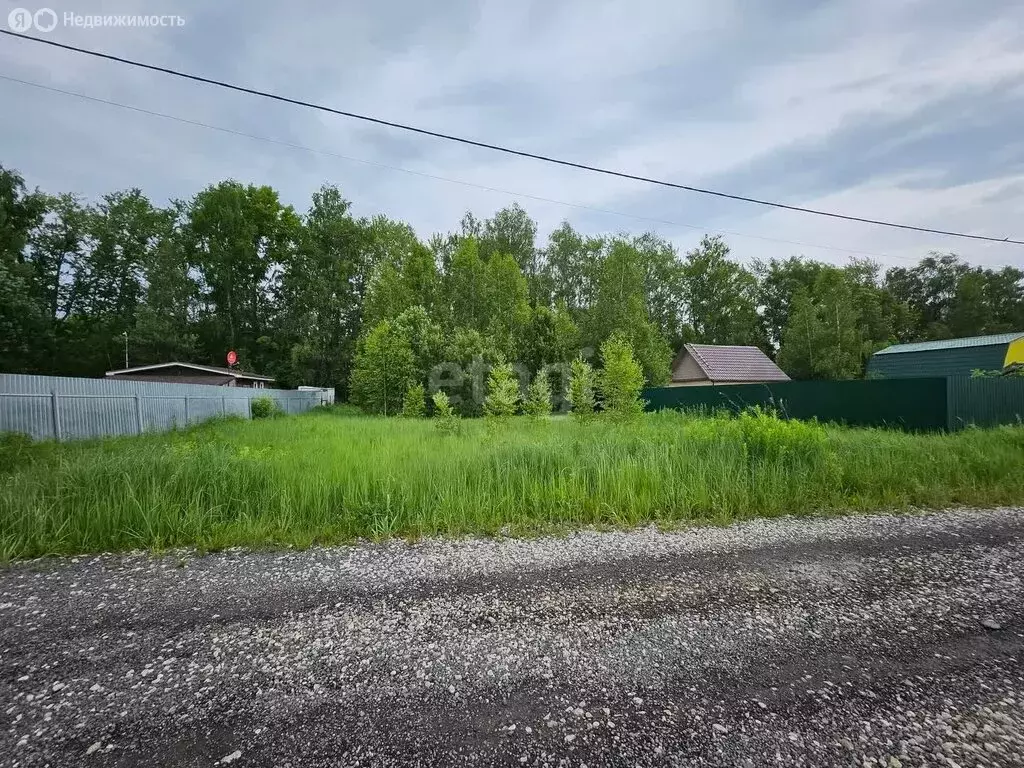 Участок в Раменский городской округ, территориальное управление ... - Фото 0