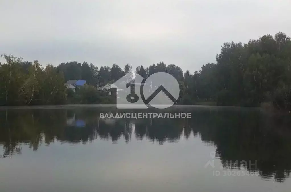 Участок в Новосибирская область, Новосибирский район, Станционный ... - Фото 1