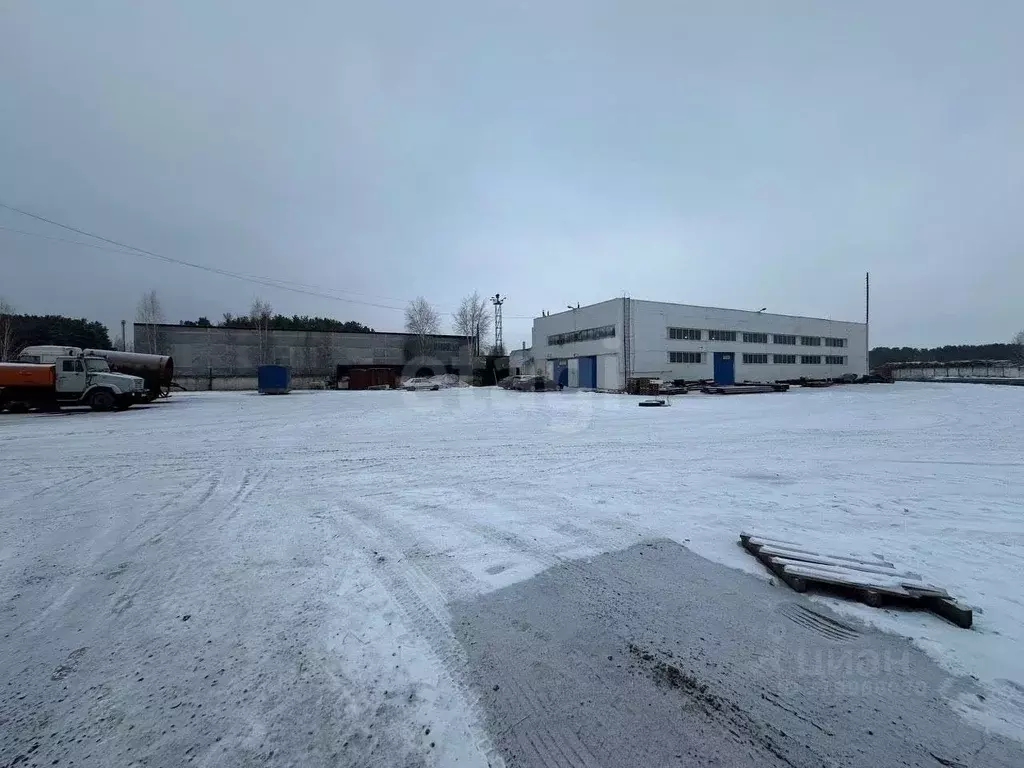 Склад в Тюменская область, Тюменский район, Боровский пгт  (1067 м) - Фото 1