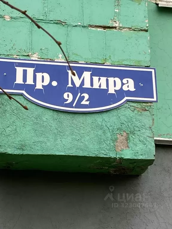 Студия Омская область, Омск просп. Мира, 9/2 (30.0 м) - Фото 2