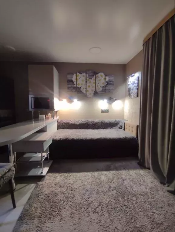 Студия Челябинская область, Челябинский городской округ, пос. ... - Фото 2