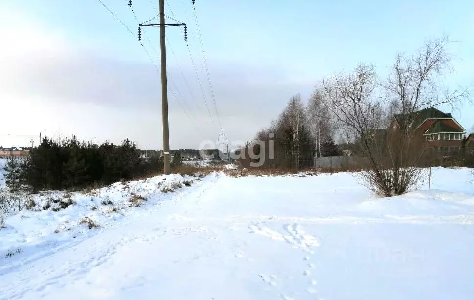 Участок в Новосибирская область, Новосибирский район, Кудряшовский ... - Фото 1