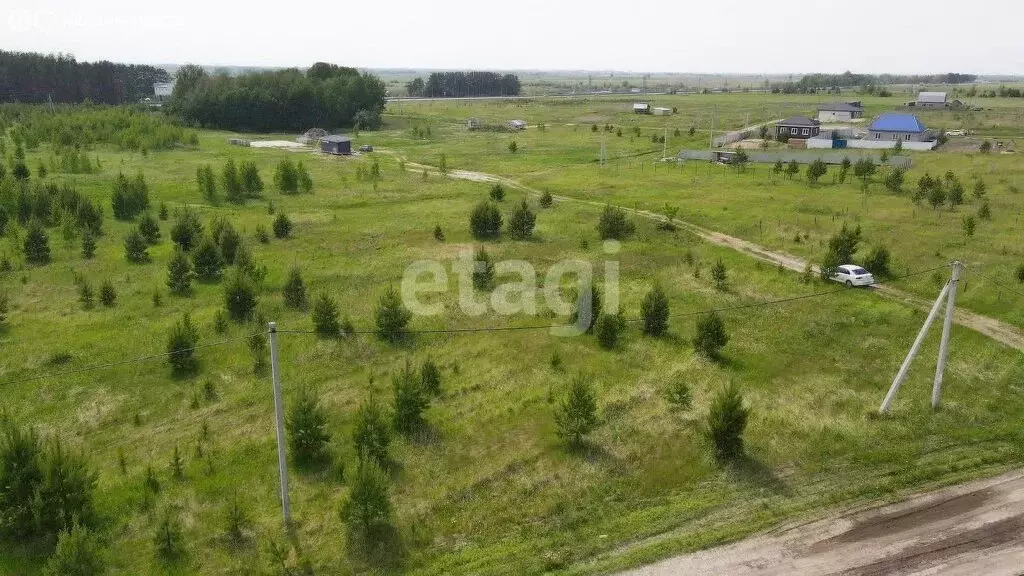 Участок в Тюменский район, село Борки (22 м) - Фото 1