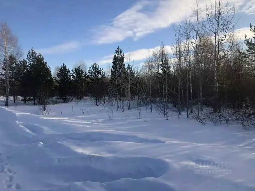 Участок в Свердловская область, Верхняя Пышма городской округ, пос. ... - Фото 2