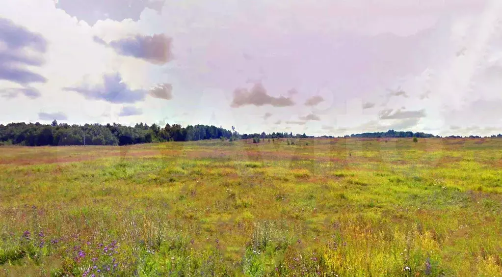 Участок 2,45 га (СНТ, ДНП) - Фото 1