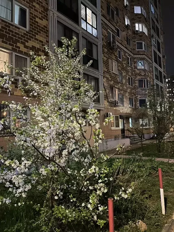 1-к. квартира, 55 м, 17/19 эт. - Фото 0