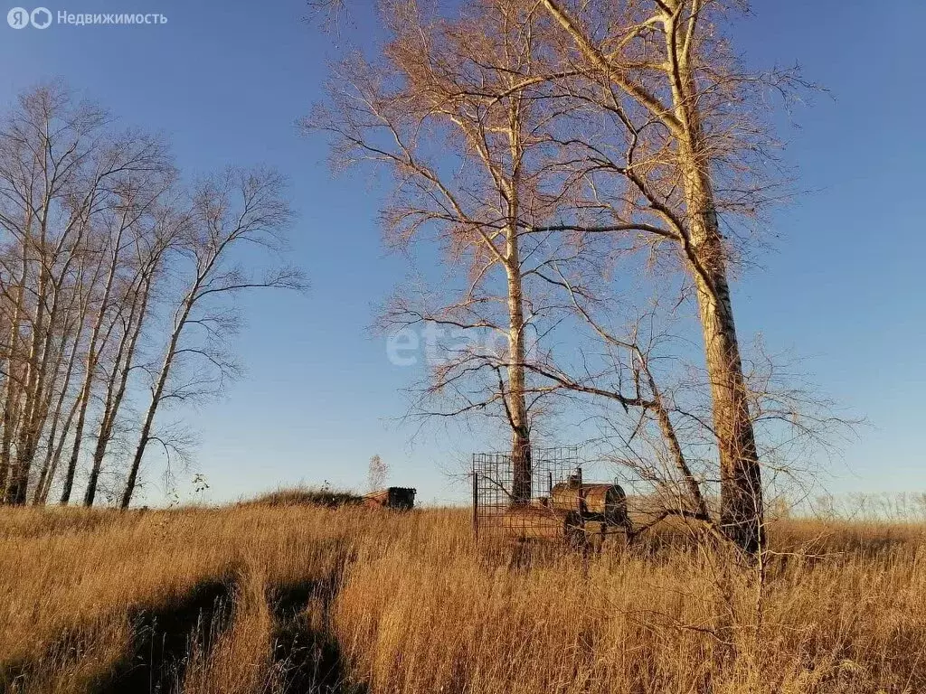 Участок в Искитимский район, Гилёвский сельсовет, село Новолокти (1740 ... - Фото 1