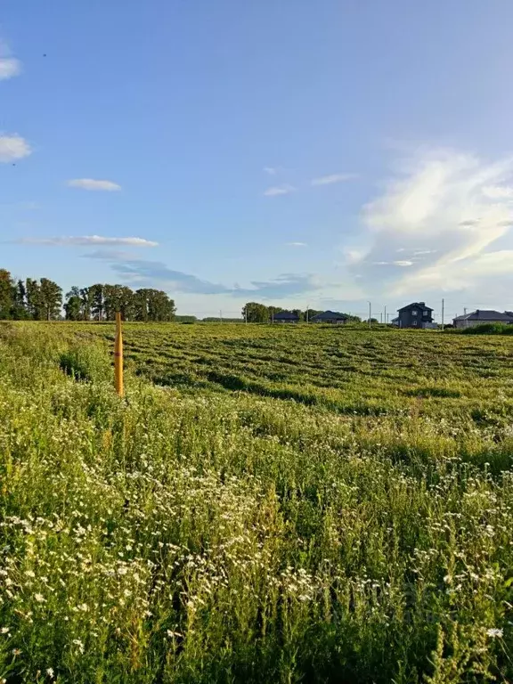 Участок в Башкортостан, Стерлитамакский район, Отрадовский сельсовет, ... - Фото 0