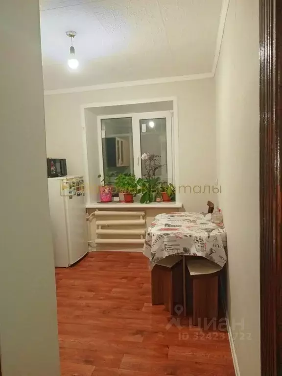 1-к кв. Новосибирская область, Черепаново ул. Строителей, 2А (37.2 м) - Фото 2