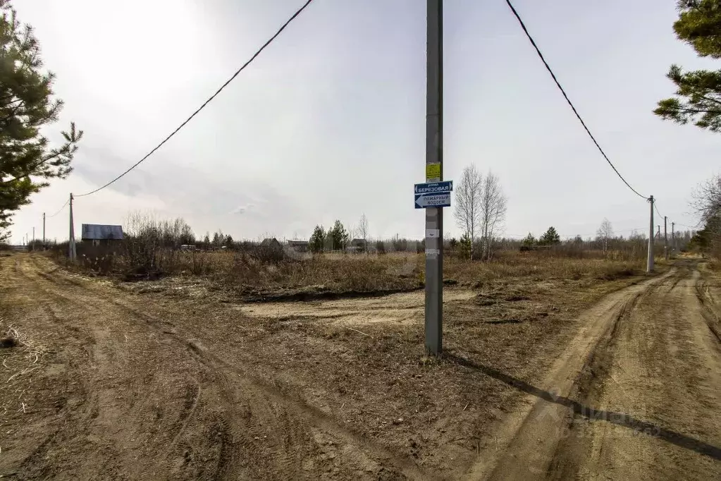 Участок в Тюменская область, Ялуторовский муниципальный округ, СО ... - Фото 1