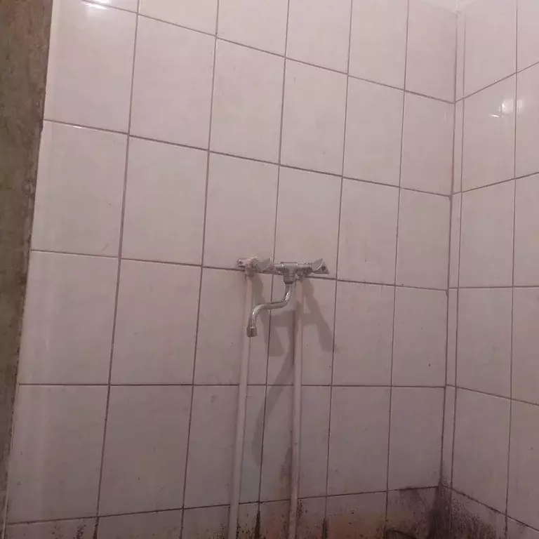 Комната, 23 м - Фото 2