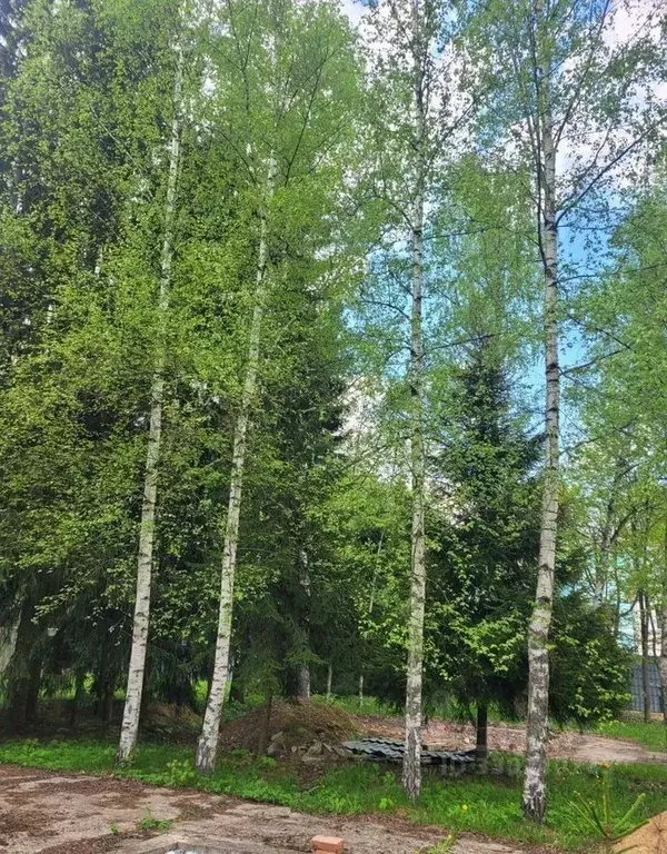 Участок в Московская область, Одинцовский городской округ, с. ... - Фото 1