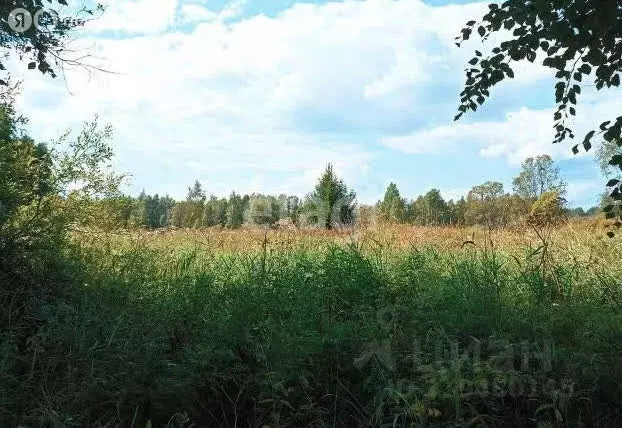 Участок в Нежновское сельское поселение, деревня Большое Стремление ... - Фото 2