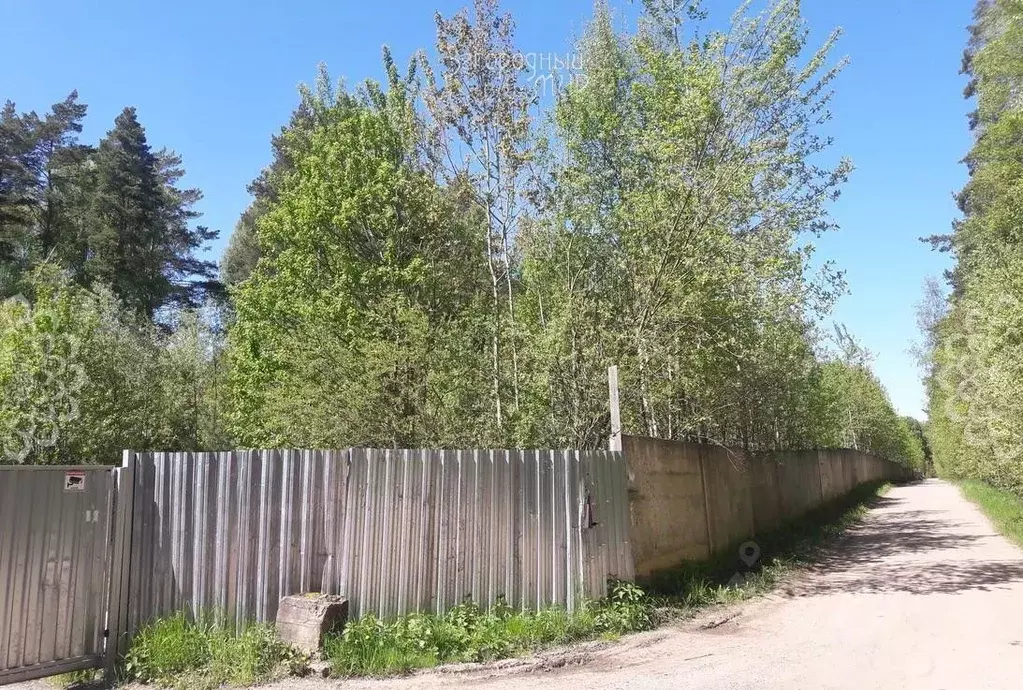 Участок в Московская область, Богородский городской округ, д. ... - Фото 2