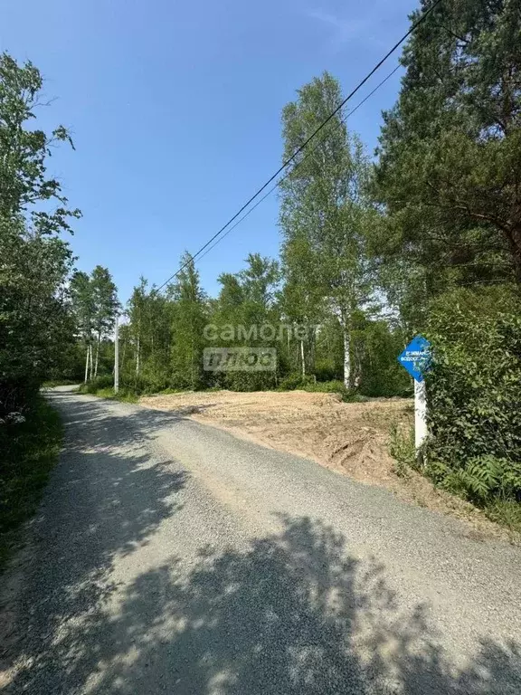 Участок в Томская область, Томский район, Лесная дача СНТ 537 (6.6 ... - Фото 1