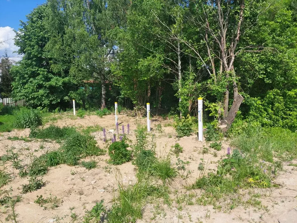 Дом в Московская область, Щелково городской округ, д. Могутово 21А ... - Фото 2