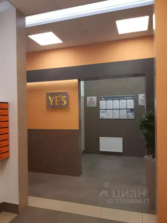 1-к кв. Санкт-Петербург просп. Просвещения, 15 (36.0 м) - Фото 1