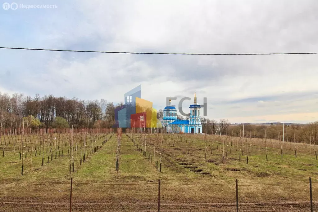 Участок в Киреевский район, сельское поселение Красноярское, посёлок ... - Фото 1