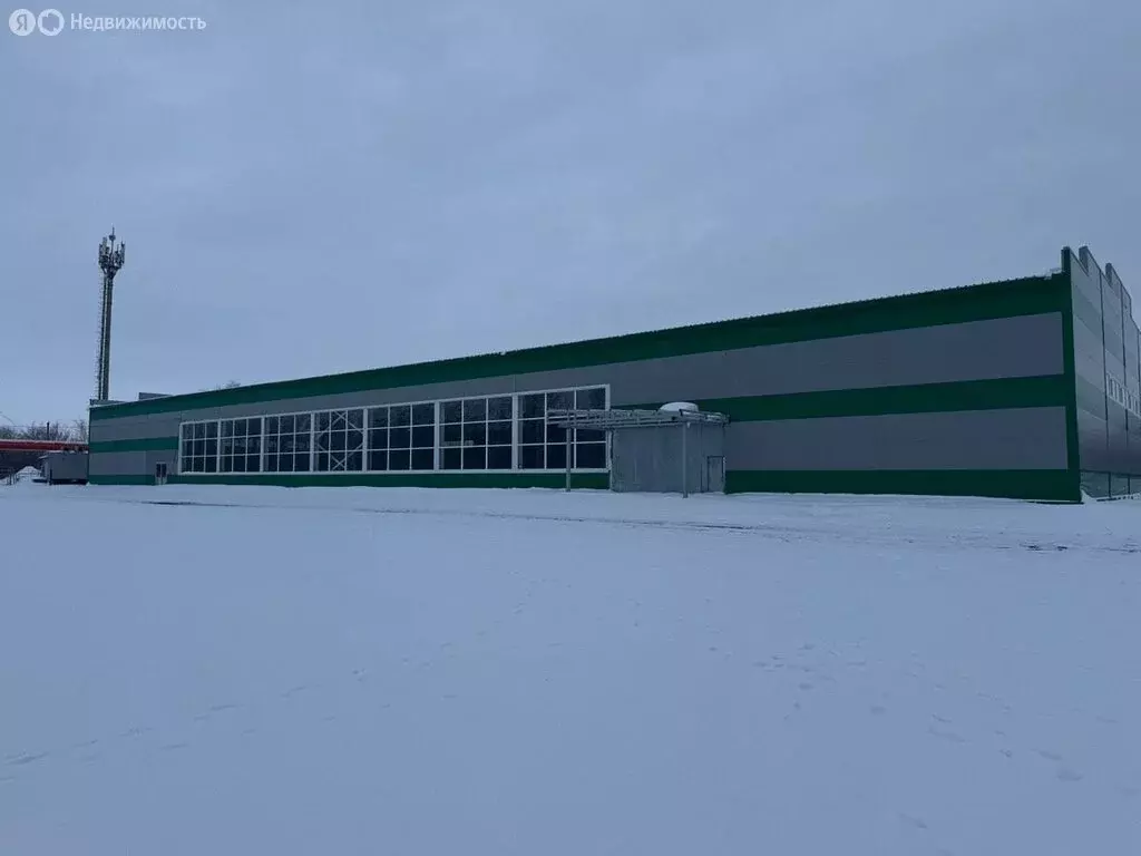 Офис (2500 м) - Фото 2