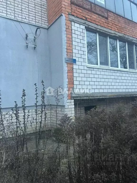 3-к кв. Брянская область, Брянский район, Добрунское с/пос, д. Добрунь ... - Фото 2