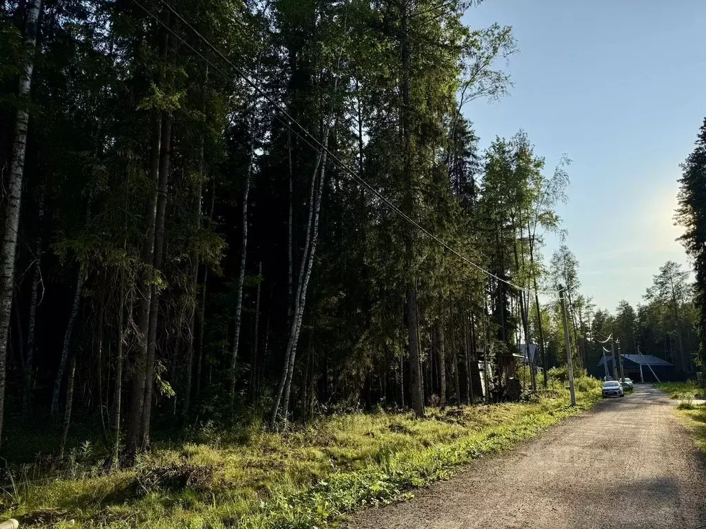 Участок в Ленинградская область, Всеволожский район, Сертоловское ... - Фото 1