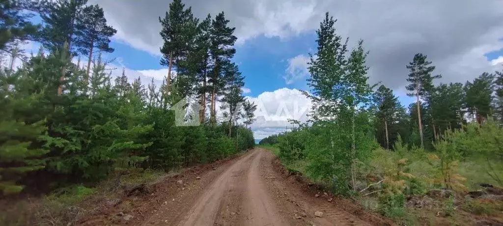 Участок в Забайкальский край, Читинский район, с. Карповка, Чистый ... - Фото 1