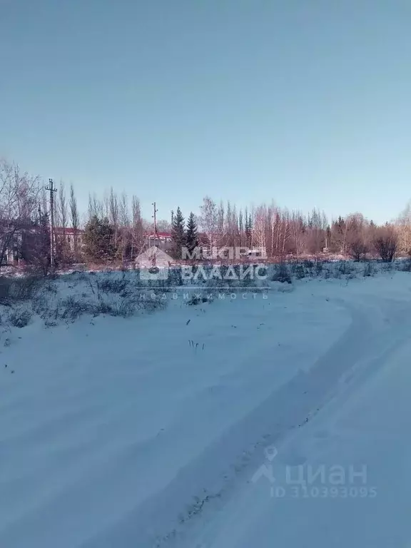 Участок в Омская область, Омский район, с. Красноярка  (15.0 сот.) - Фото 0