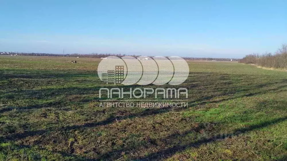 Участок в Краснодарский край, Анапа муниципальный округ, пос. ... - Фото 1