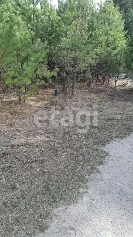 Участок в Бурятия, Тункинский район, пос. Аршан  (19.8 сот.) - Фото 2