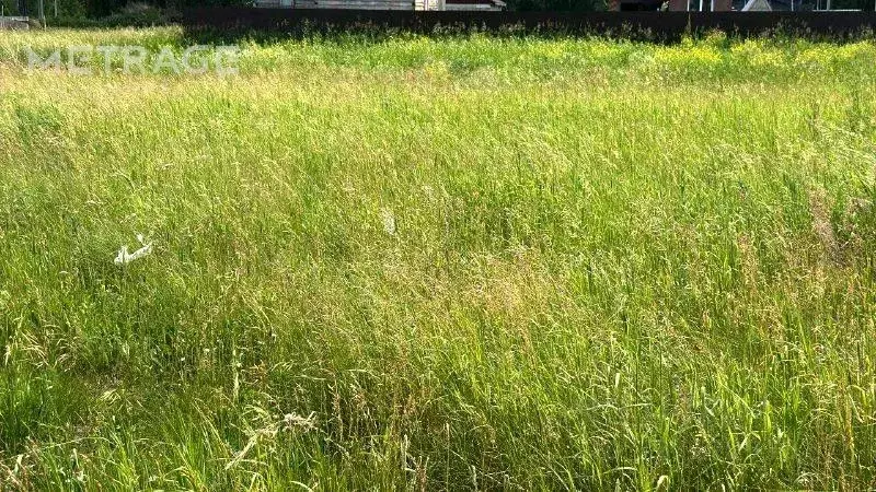 Участок в Новосибирская область, Коченевский район, с. Шагалово ... - Фото 1