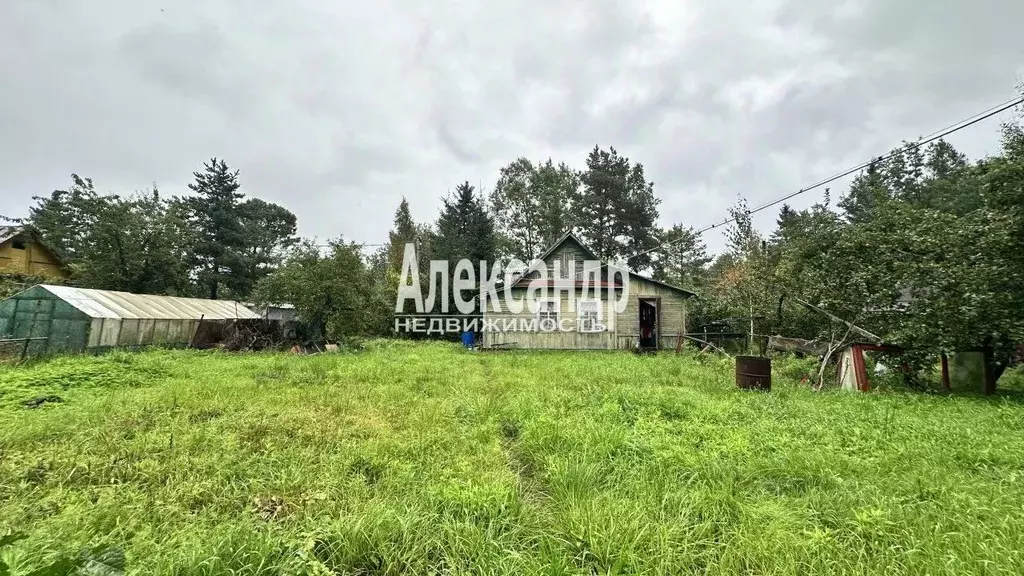 Участок в Ленинградская область, Кировский район, Мгинское городское ... - Фото 1