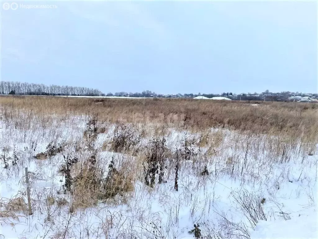 Участок в Дмитровский городской округ, деревня Кончинино (10 м) - Фото 0