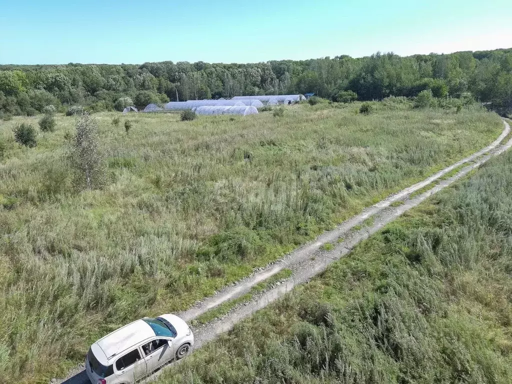 Участок в Хабаровский край, Хабаровский район, Осиновореченское с/пос, ... - Фото 2