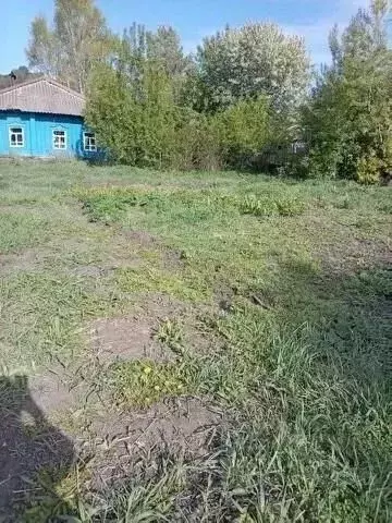 Дом в Алтайский край, Солонешенский район, с. Солонешное Совхозная ... - Фото 2