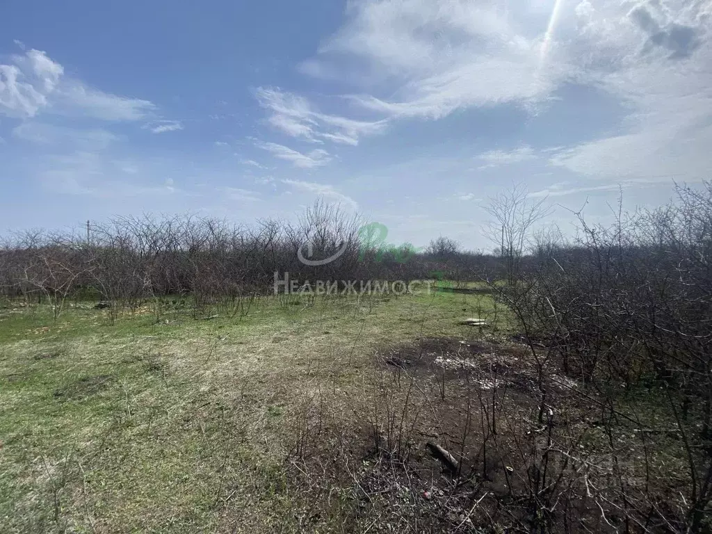 Участок в Краснодарский край, Ейск Весна садоводческое товарищество,  ... - Фото 2